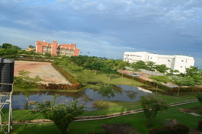 futmx